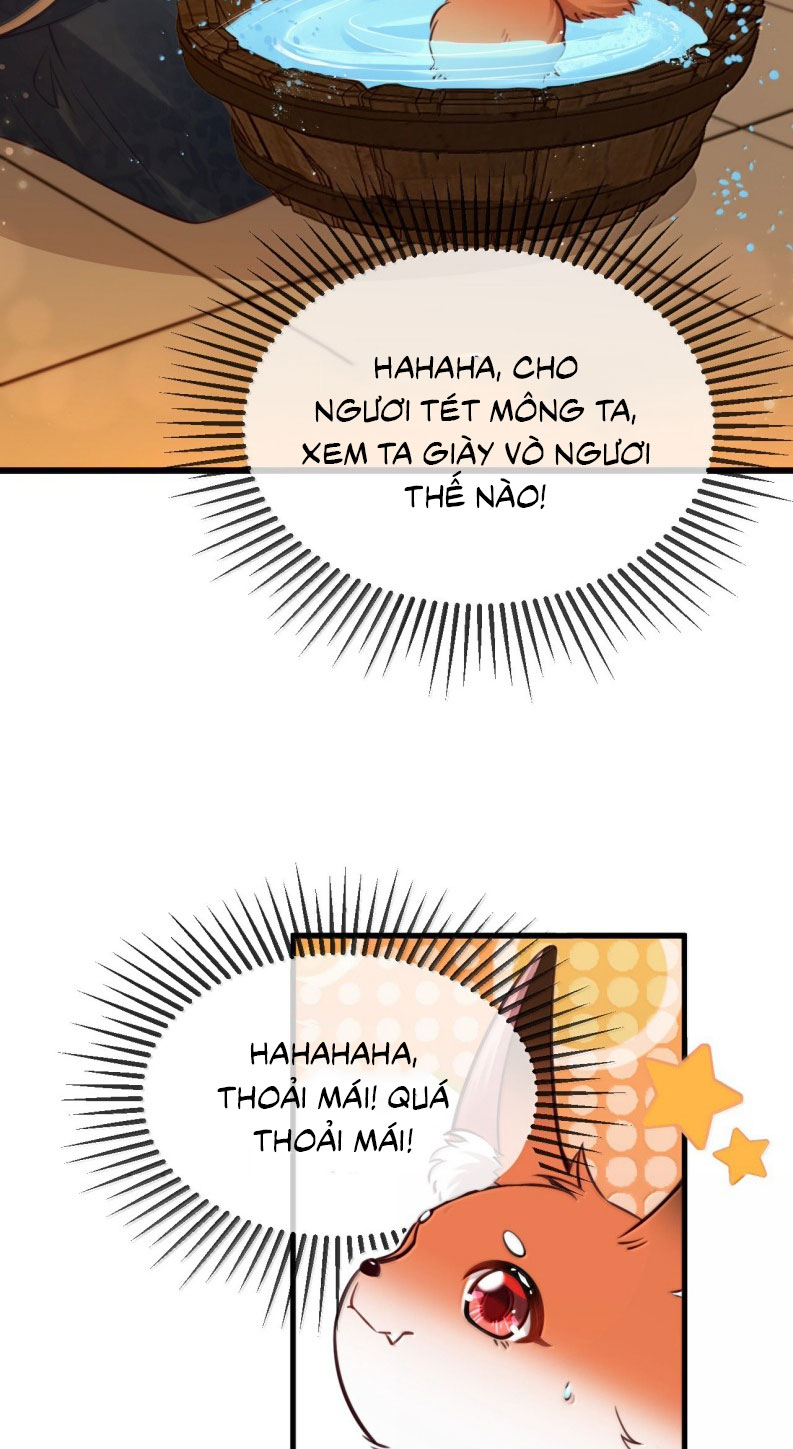 Sau Khi Bản Thể Rơi Vào Tay Đối Thủ Một Mất Một Còn Chapter 20 - Next Chapter 21