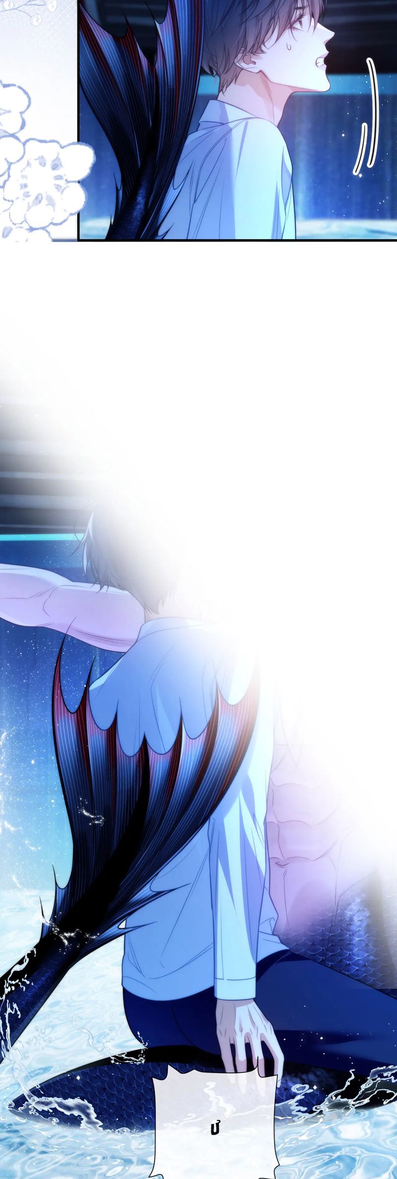 Desharow Nhân Ngư Chapter 74 - Trang 4