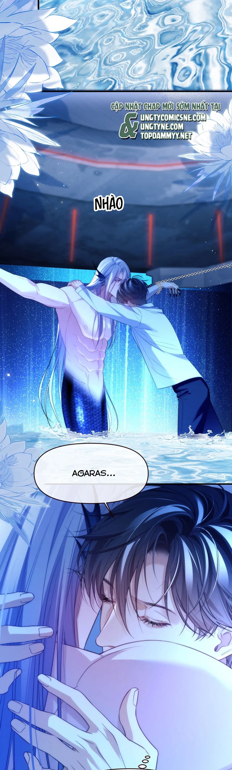 Desharow Nhân Ngư Chapter 74 - Trang 4