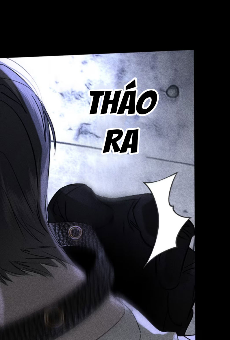 Chạy Trốn Khỏi Tầng Hầm Chap 10 - Trang 4
