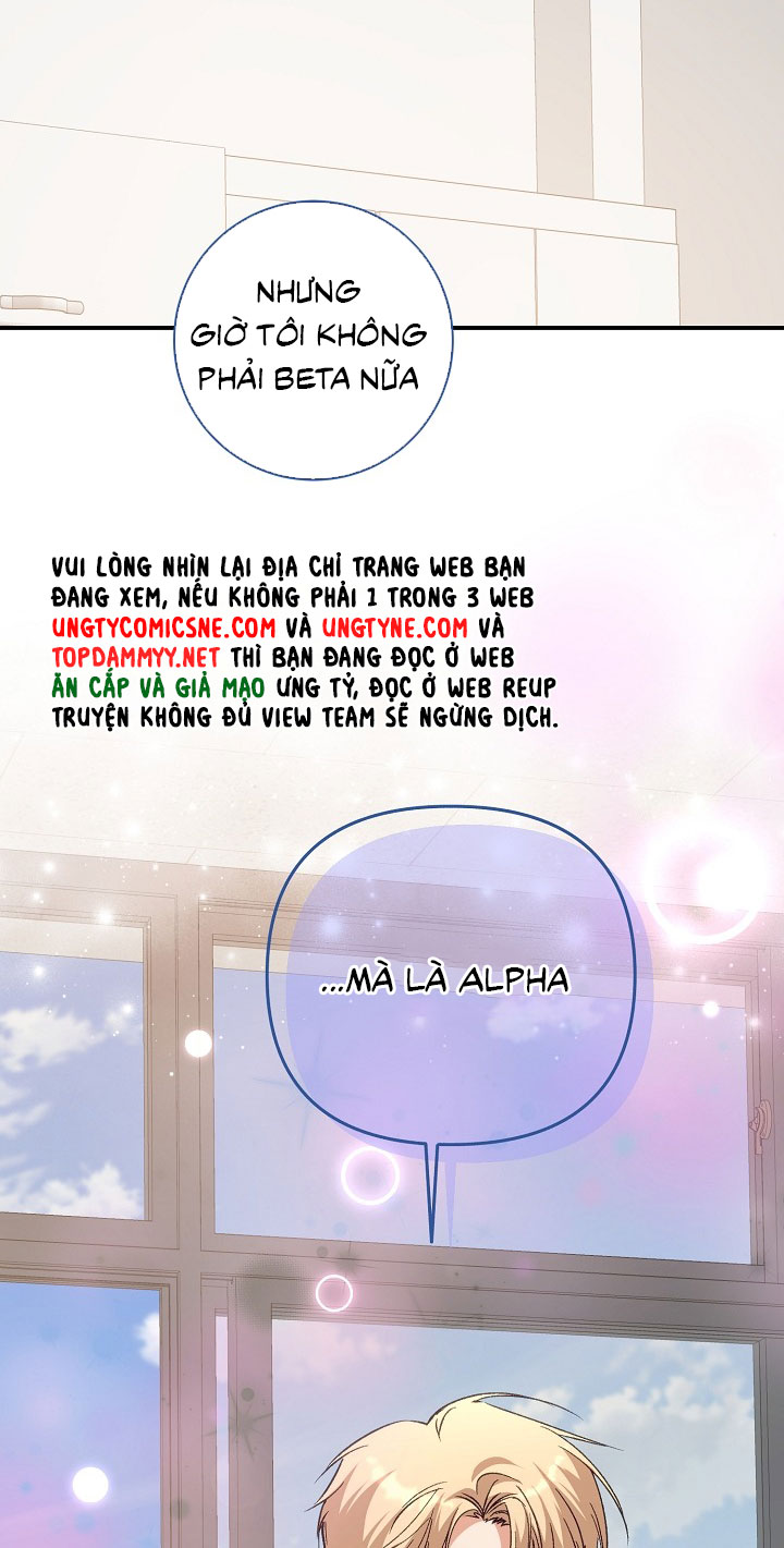 Nhật Ký Quan Sát Bồ Công Anh Chap 15 - Trang 2