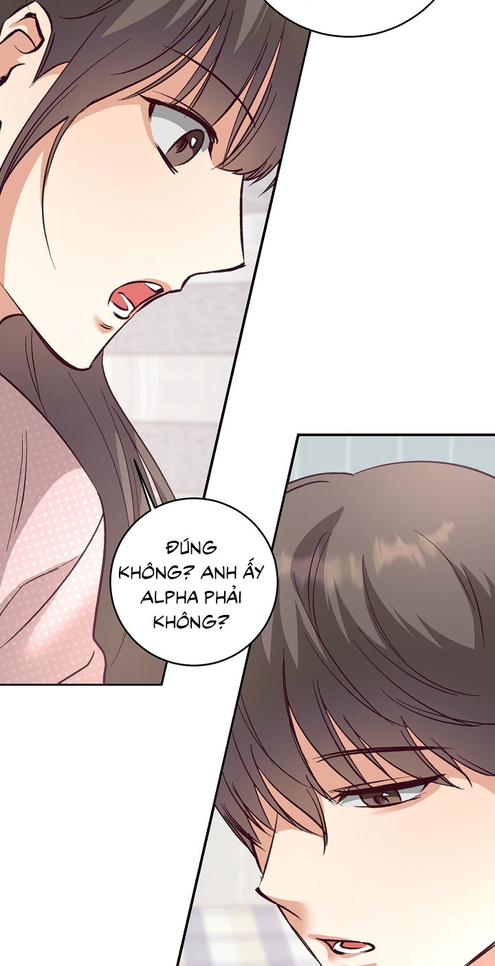 Nhật Ký Quan Sát Bồ Công Anh Chap 15 - Trang 2