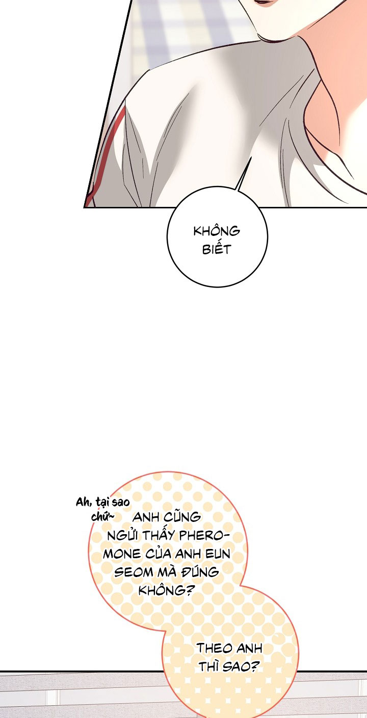 Nhật Ký Quan Sát Bồ Công Anh Chap 15 - Trang 2