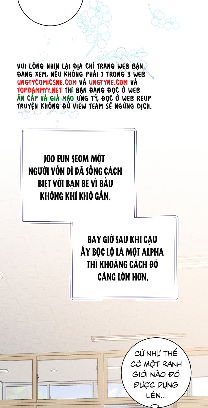 Nhật Ký Quan Sát Bồ Công Anh Chap 15 - Trang 2