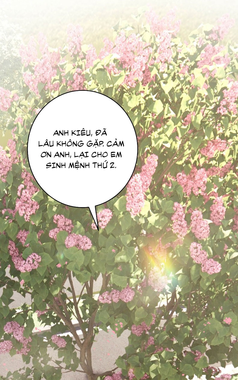 Mỗi Ngày Đều Muốn Làm Bệnh Kiều Vương Tử Xấu hổ Muốn Độn Thổ Chap 4 - Next Chap 5