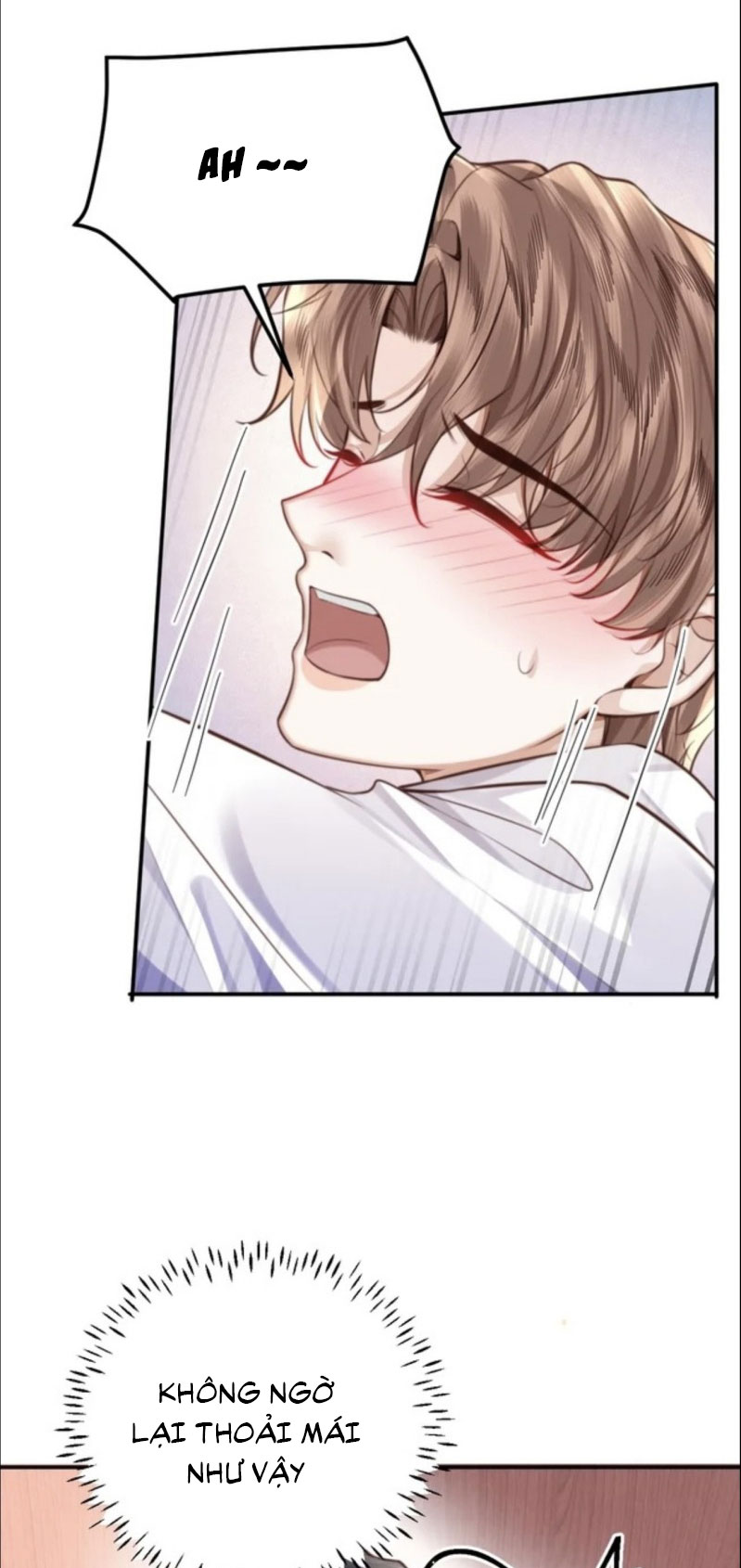 Tổng Tài Định Chế Tư Nhân Phiên ngoại 4 - Trang 2