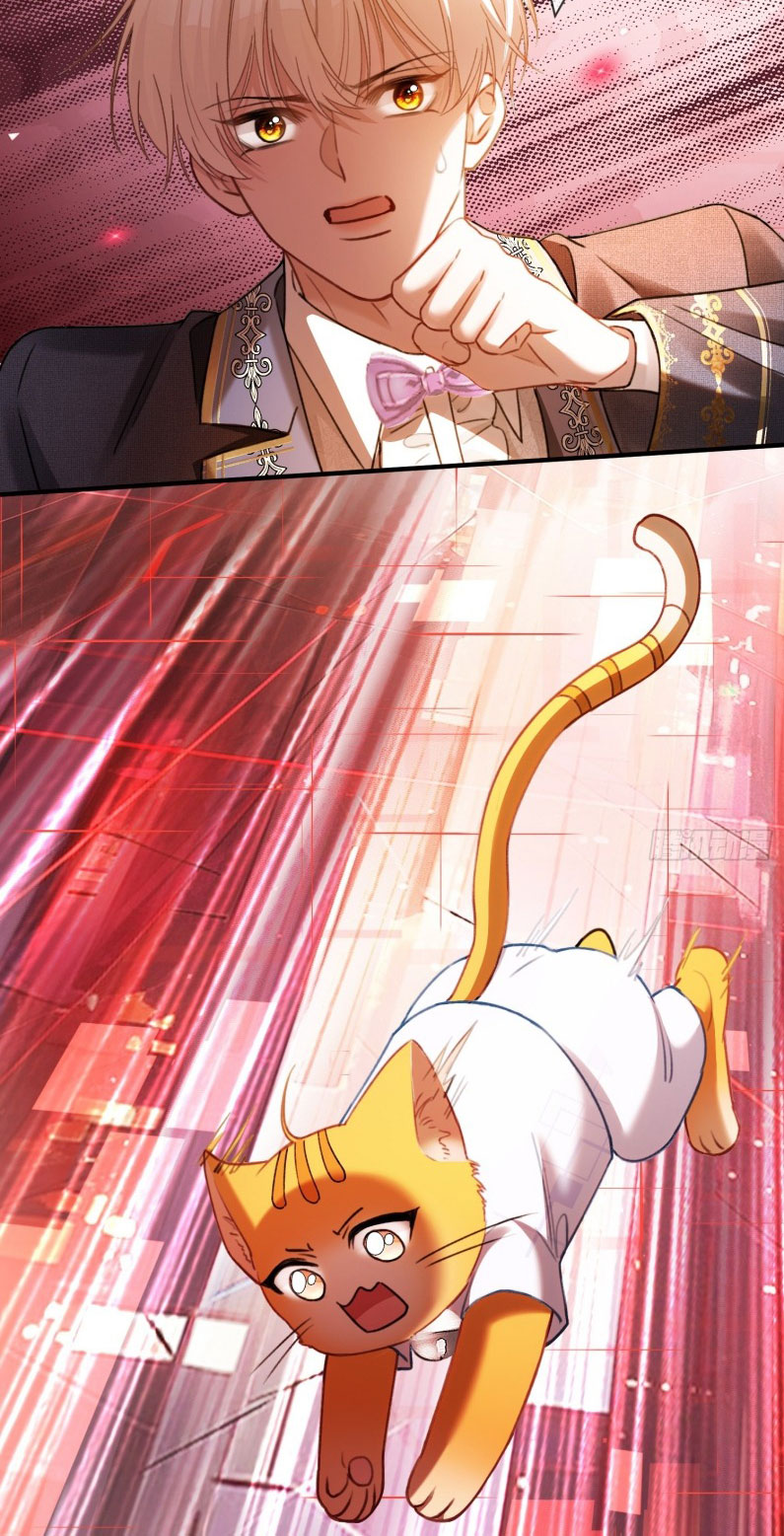 Xuyên Nhanh: Quan Hệ Gây Nghiện Chapter 81 - Next Chapter 82