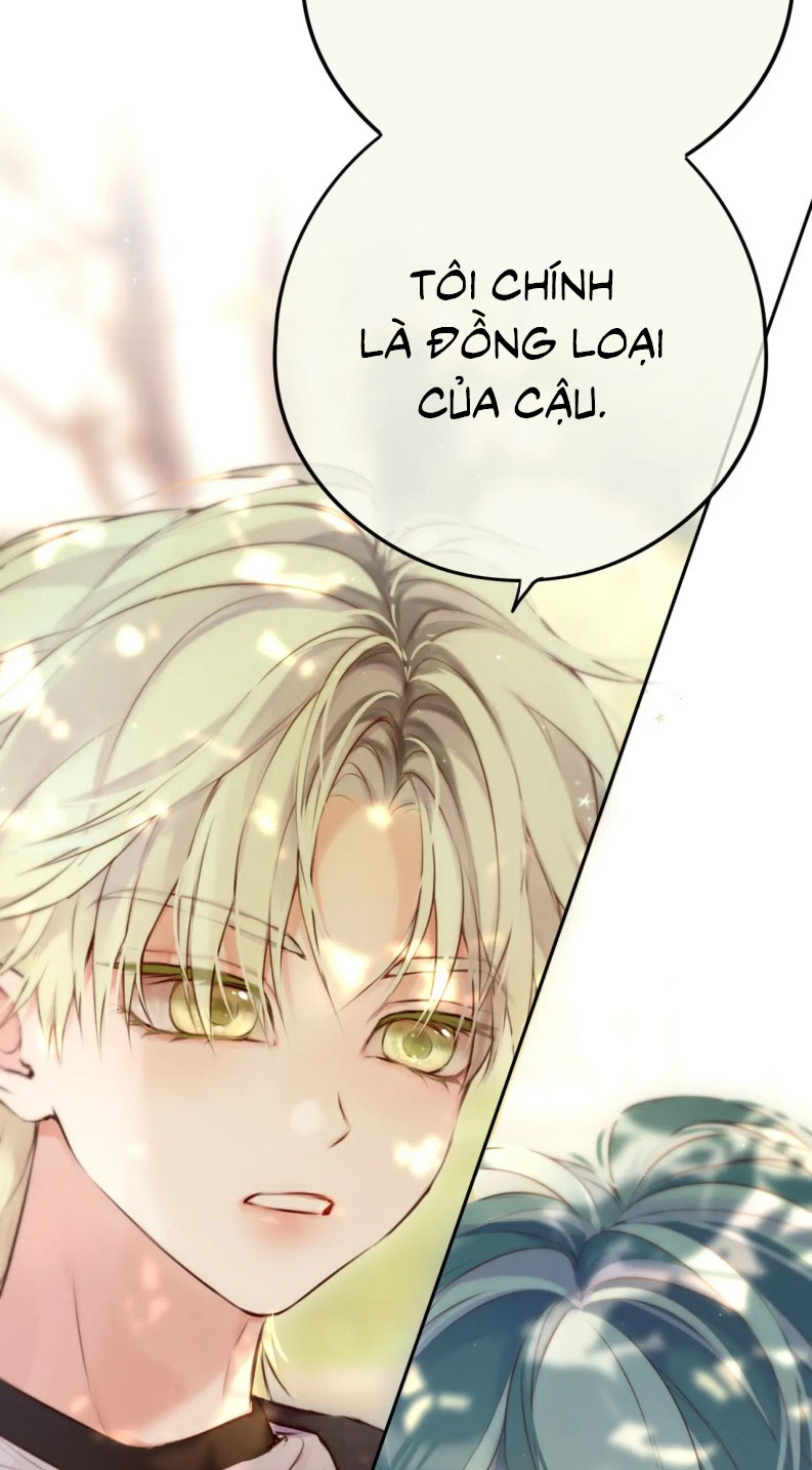 Hoặc Tinh Chi Mục Chapter 16 - Next Chapter 17