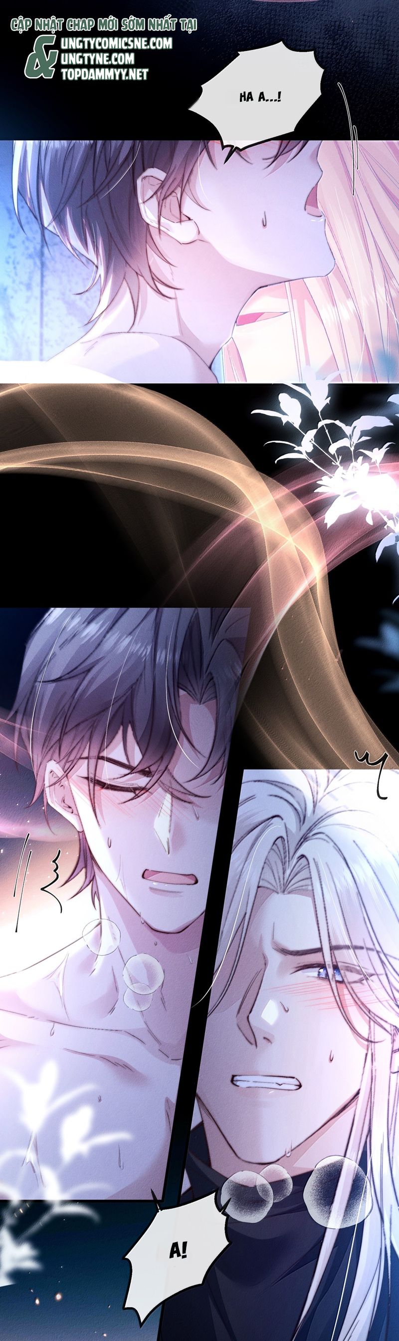 Kế Hoạch Tự Dưỡng Cuồng Khuyển Chap 47 - Trang 4