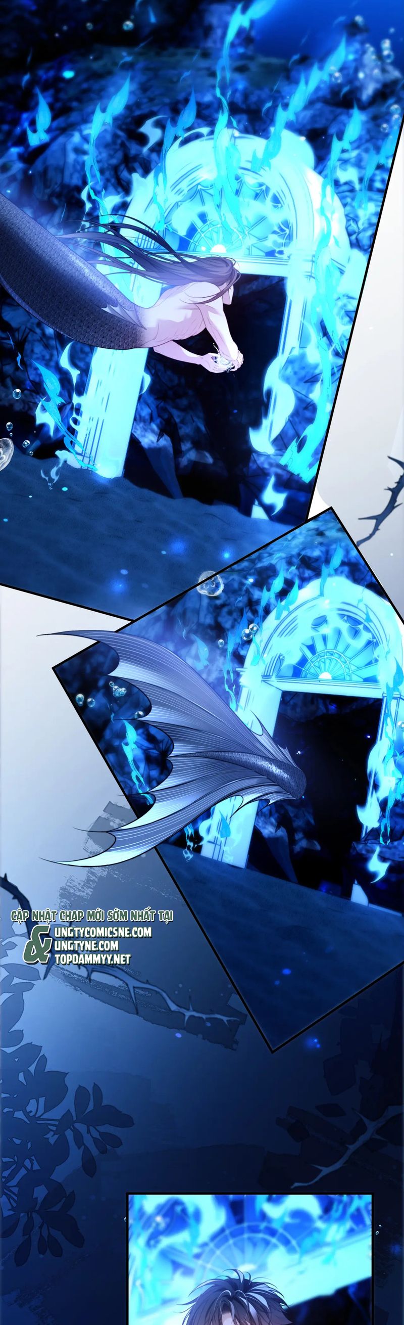 Desharow Nhân Ngư Chap 76 - Trang 2