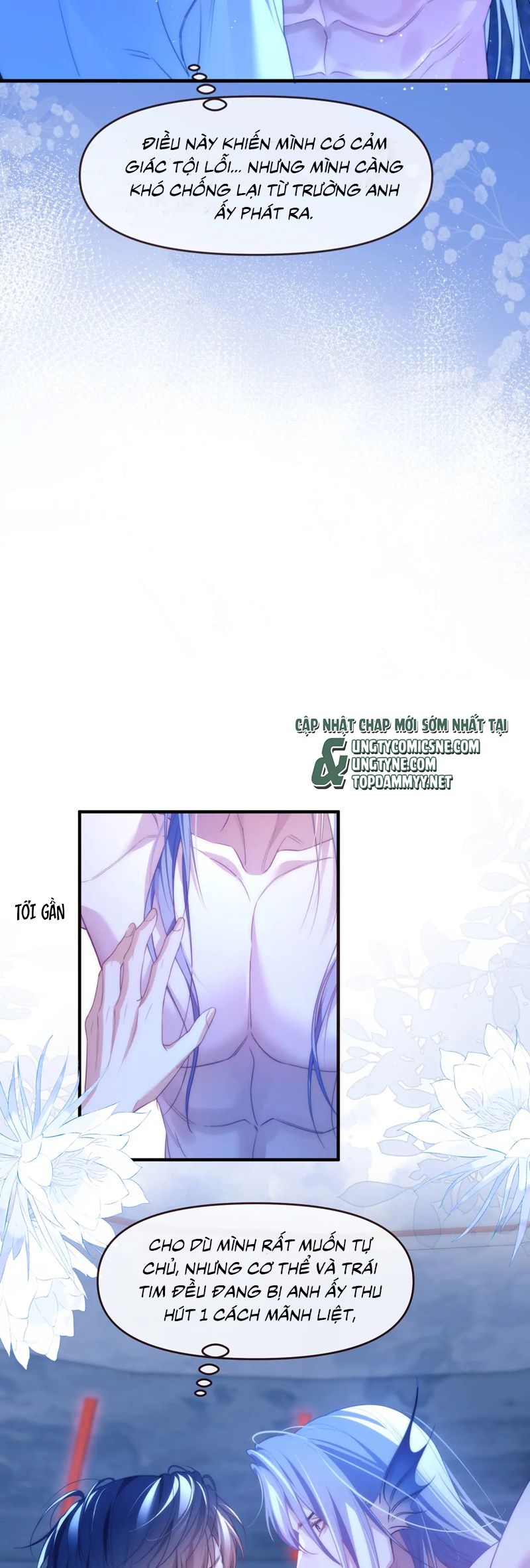 Desharow Nhân Ngư Chapter 77 - Trang 4