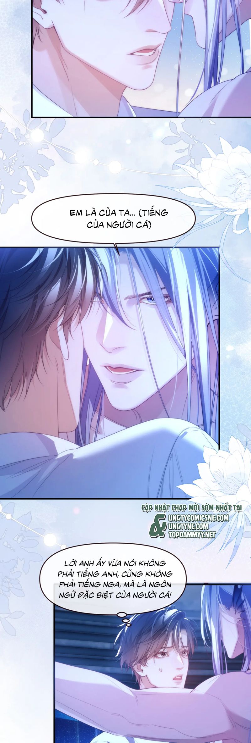 Desharow Nhân Ngư Chapter 77 - Trang 4