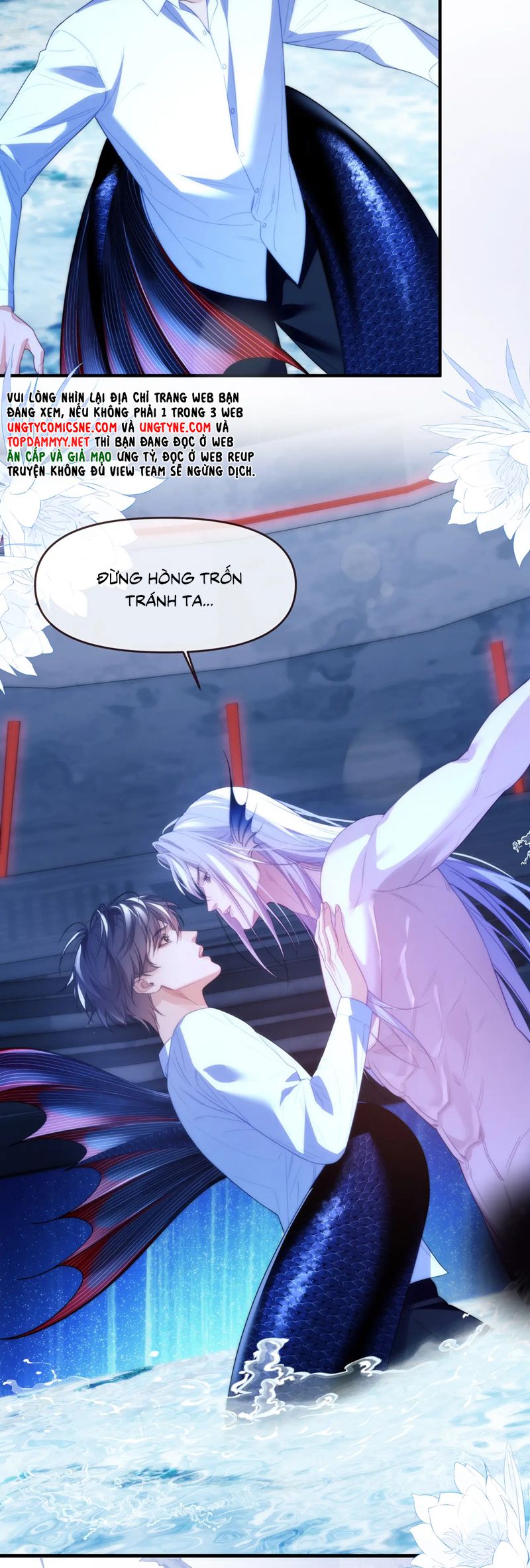 Desharow Nhân Ngư Chapter 77 - Trang 4