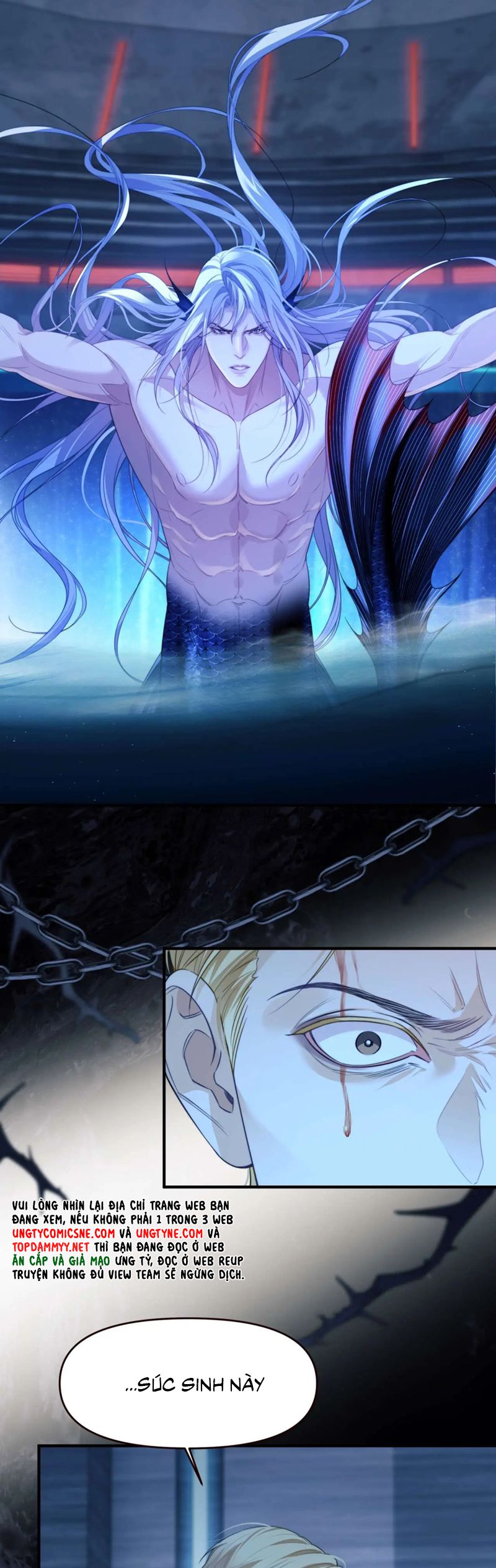 Desharow Nhân Ngư Chapter 78 - Trang 4