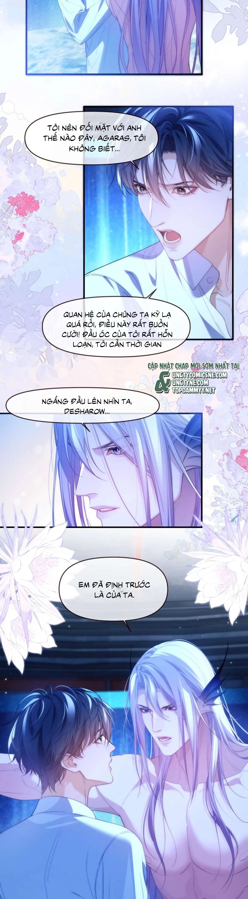 Desharow Nhân Ngư Chapter 78 - Trang 4