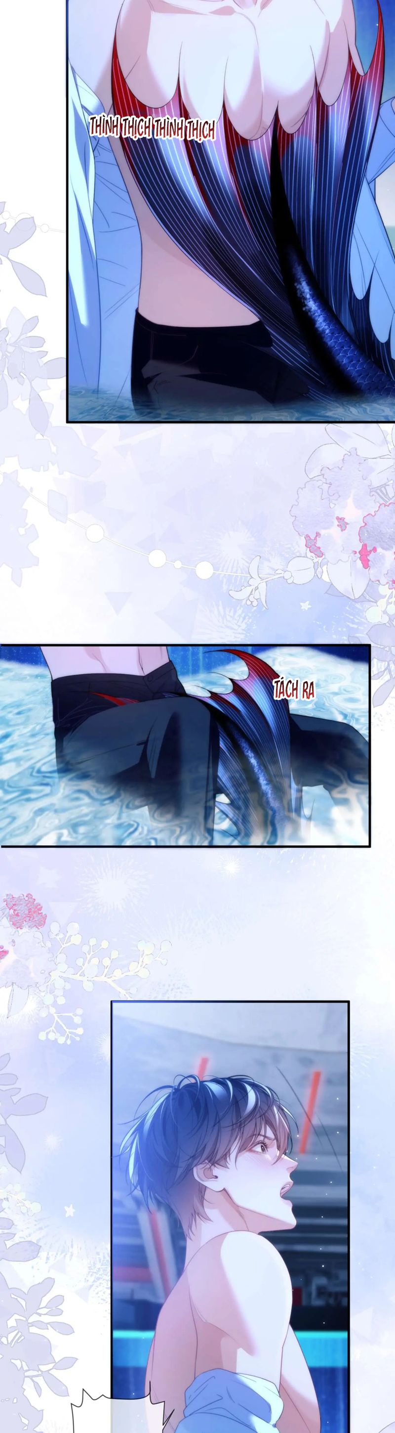 Desharow Nhân Ngư Chapter 78 - Trang 4