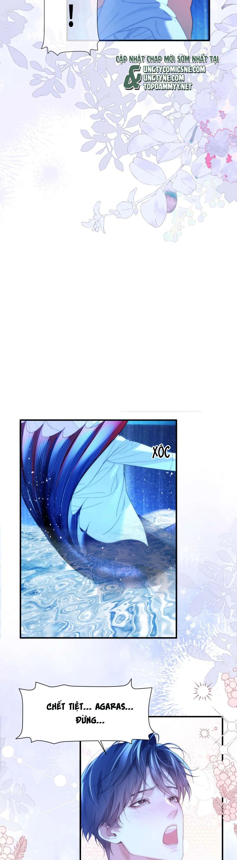 Desharow Nhân Ngư Chapter 78 - Trang 4