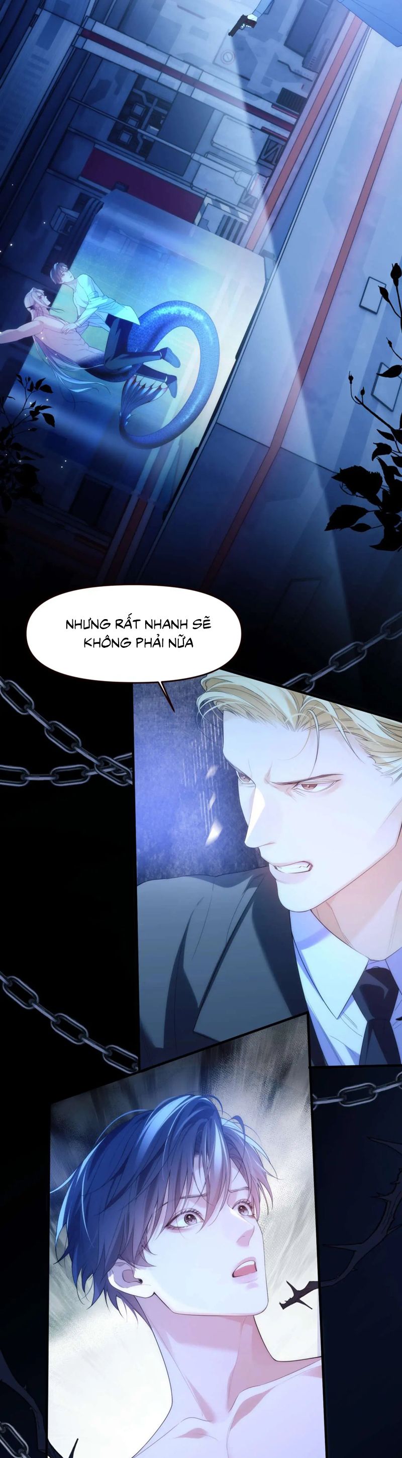 Desharow Nhân Ngư Chapter 78 - Trang 4