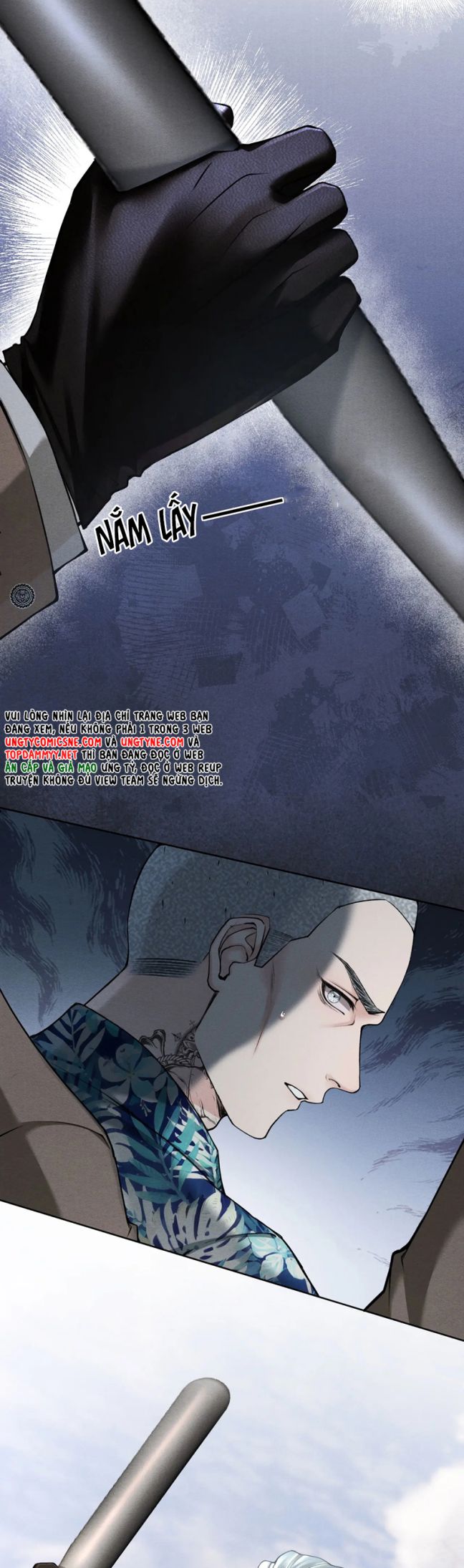 Nghịch Quang Chi Vũ Chap 11 - Trang 2