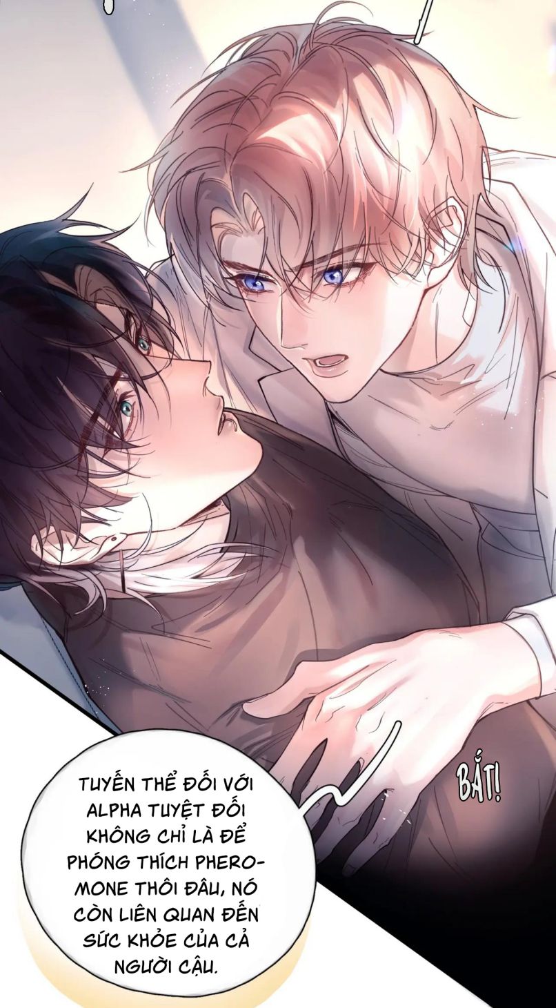 Tinh Vệ Chapter 13 - Next Chapter 13.2 NT Tết