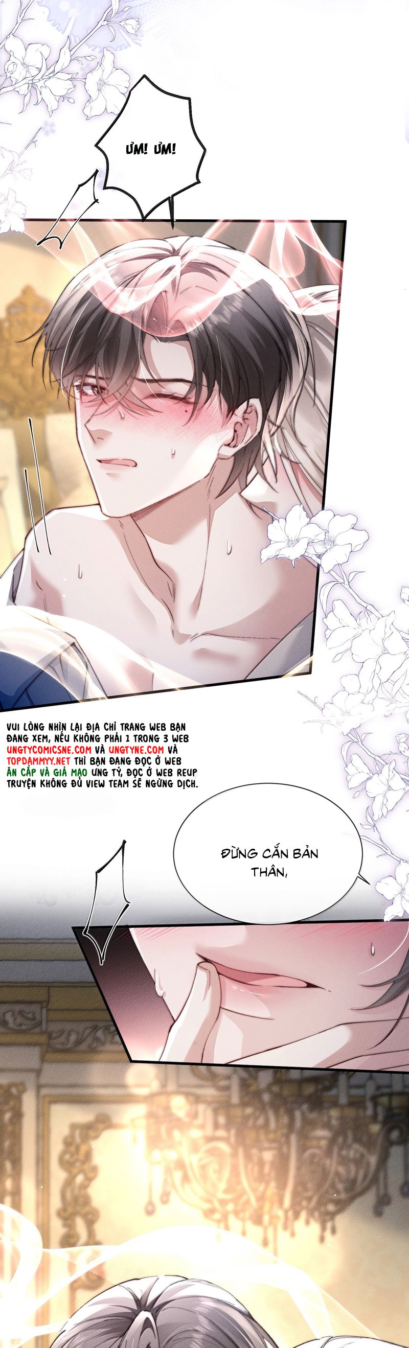 Kế Hoạch Tự Dưỡng Cuồng Khuyển Chap 52 - Next Chap 53