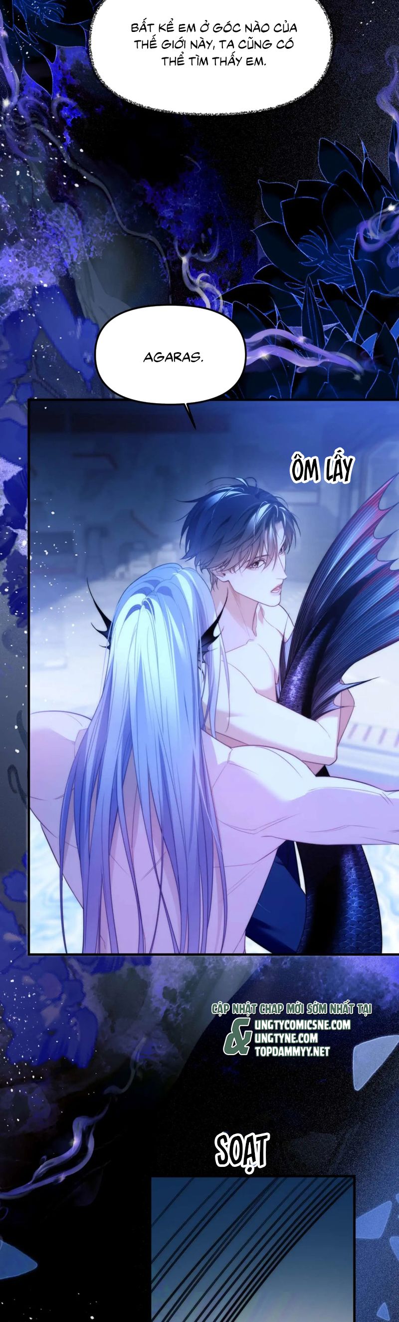 Desharow Nhân Ngư Chapter 79 - Trang 4