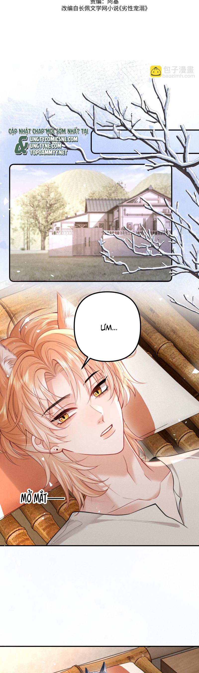 Tật Xấu Nuông Chiều Chap 27 - Next Chap 28