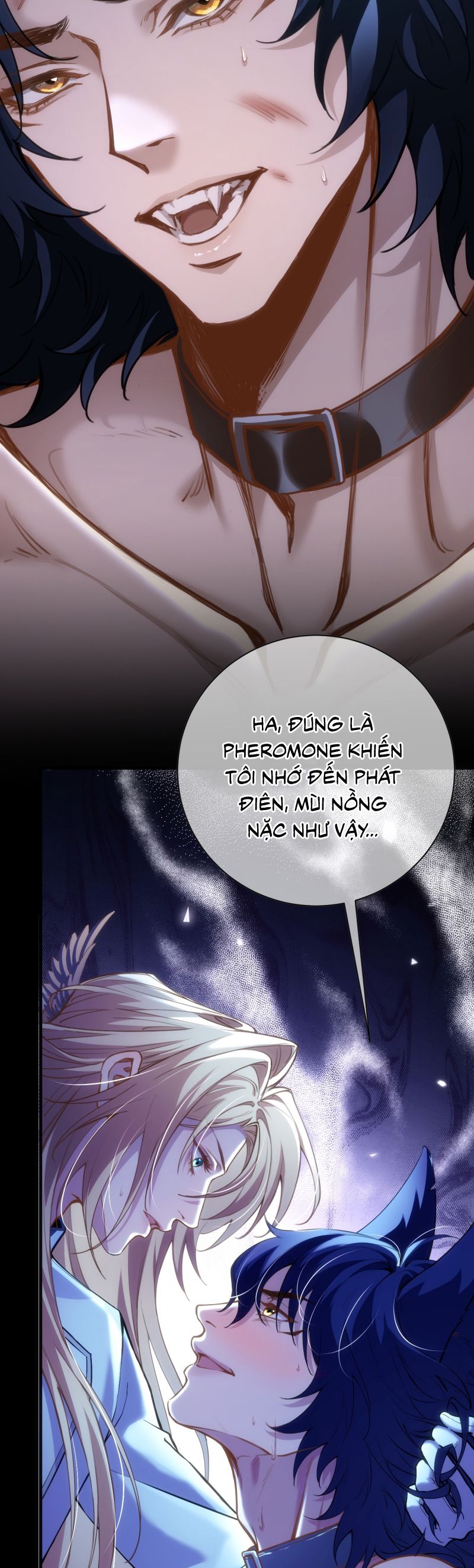 Thánh Tử Điện Hạ Lại Bị Tùy Ý Đánh Dấu Chap 1 - Trang 2