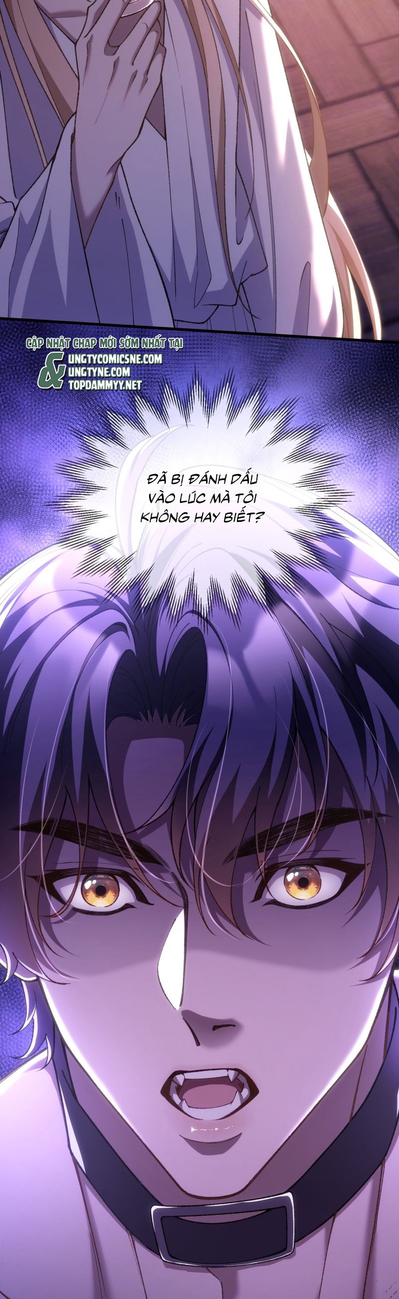 Thánh Tử Điện Hạ Lại Bị Tùy Ý Đánh Dấu Chap 4 - Trang 2