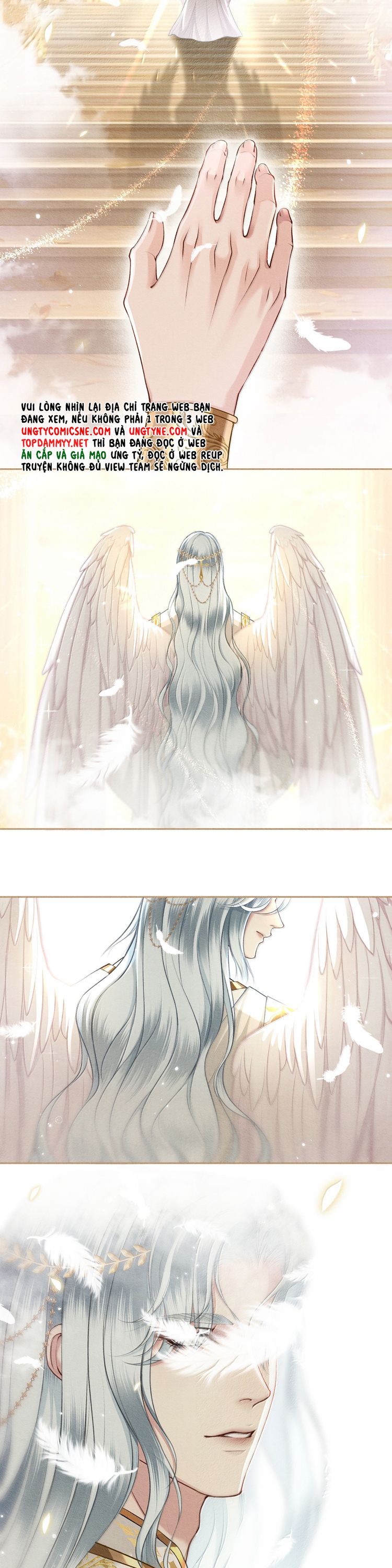 Nghịch Quang Chi Vũ Chap 12 - Next Chap 14