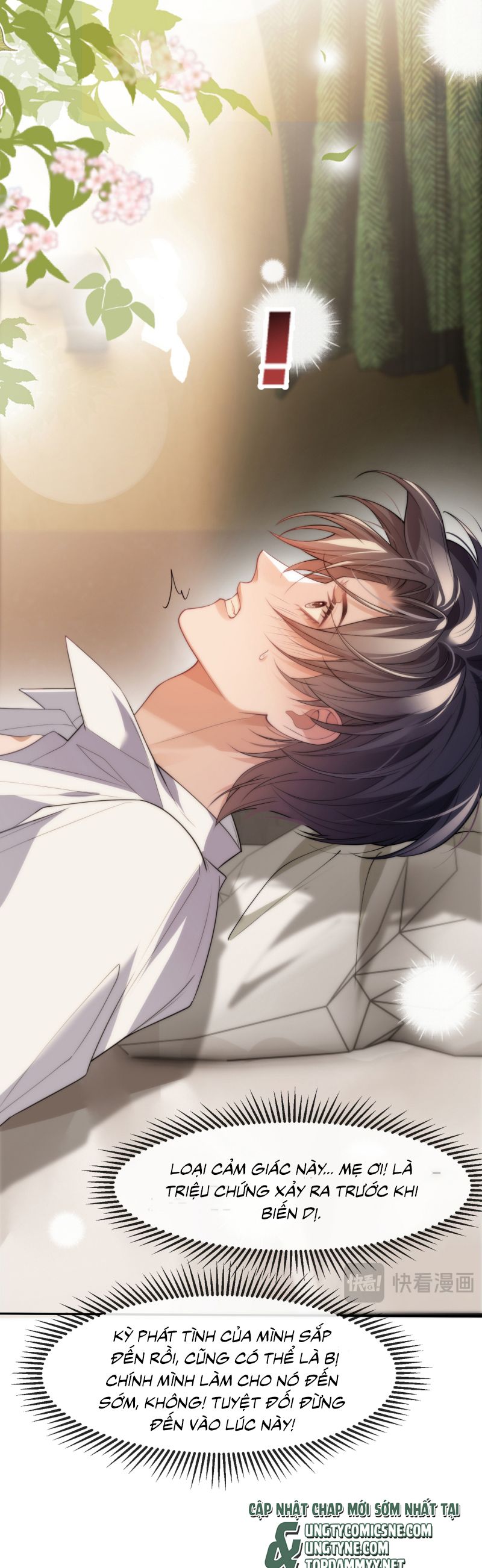 Desharow Nhân Ngư Chap 81 - Trang 4