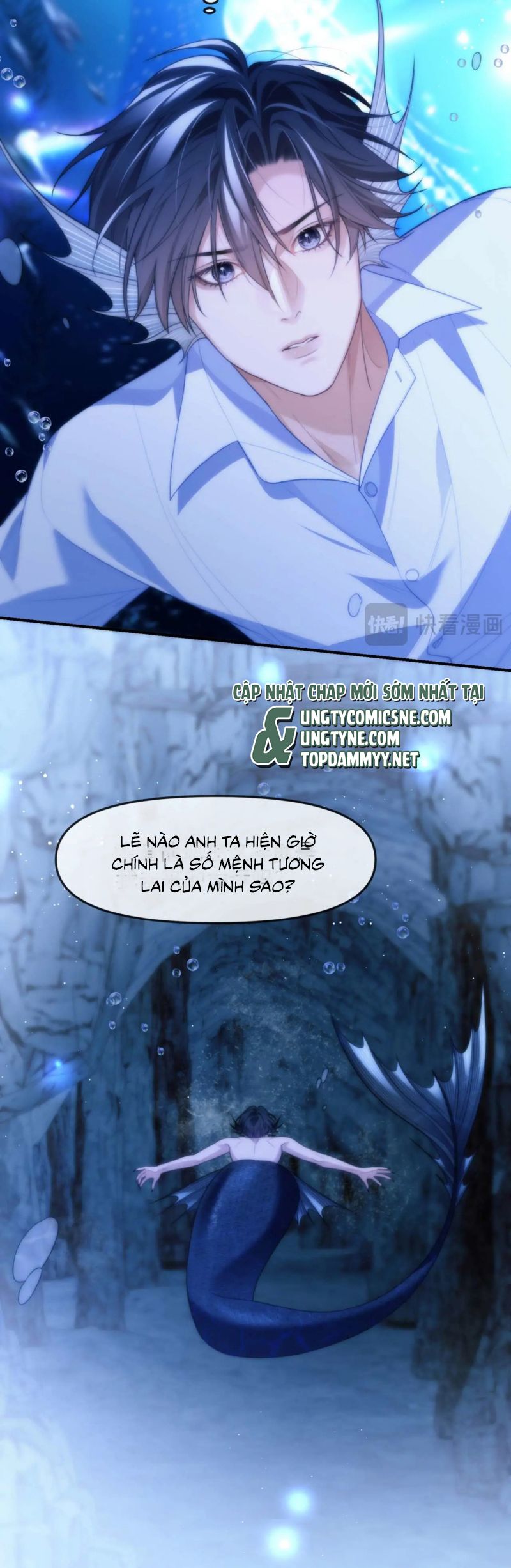 Desharow Nhân Ngư Chap 82 - Trang 4