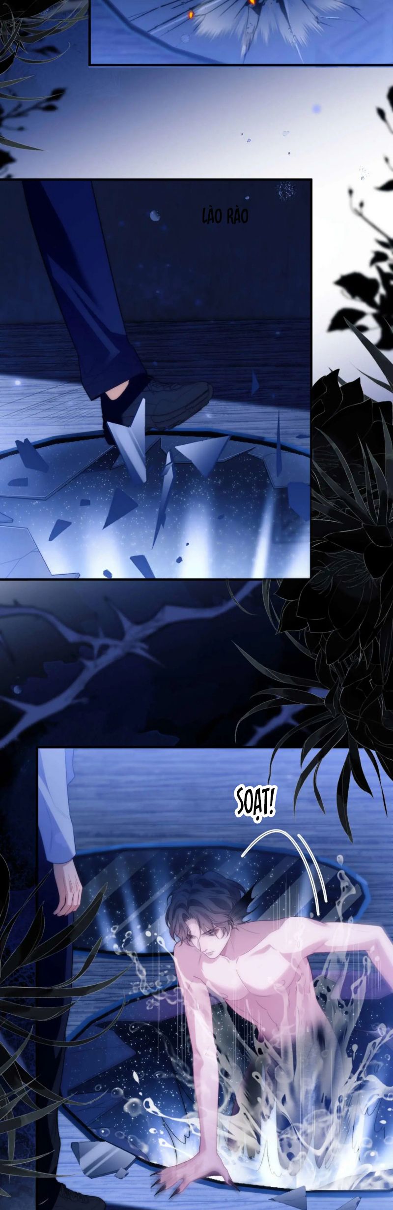 Desharow Nhân Ngư Chap 82 - Trang 4