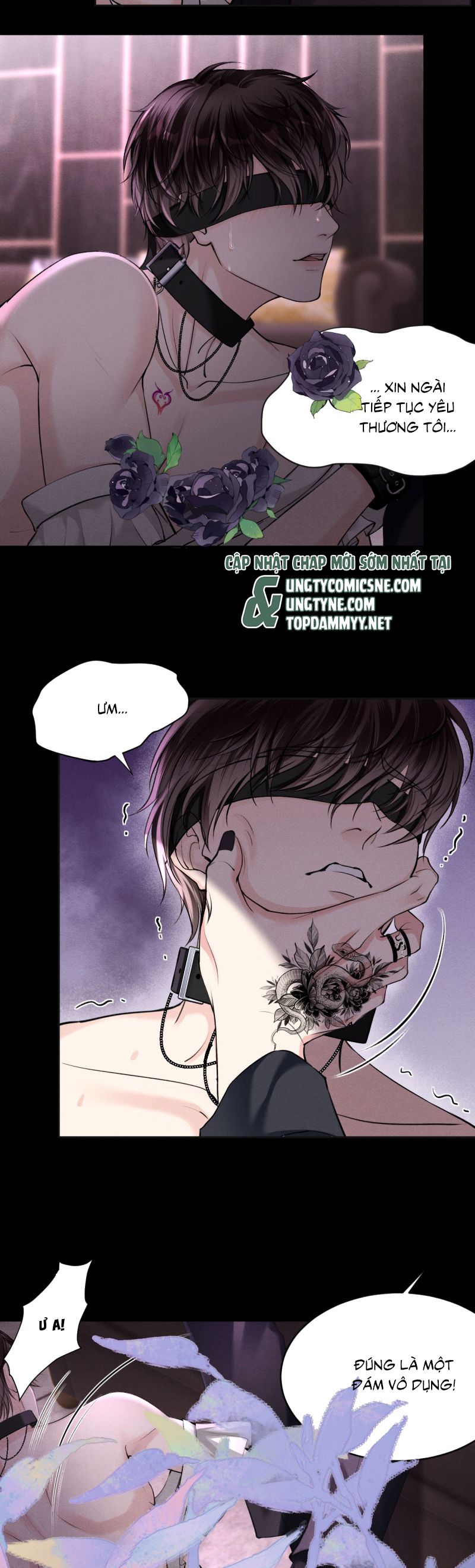 Nghịch Quang Chi Vũ Chap 14 - Trang 2