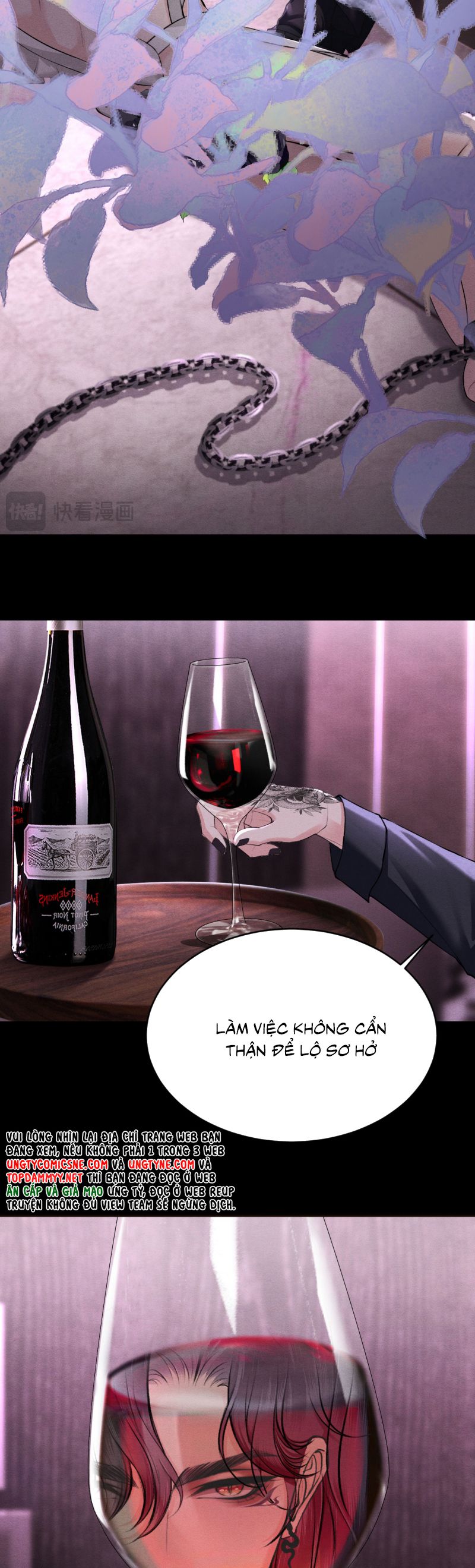 Nghịch Quang Chi Vũ Chap 14 - Trang 2