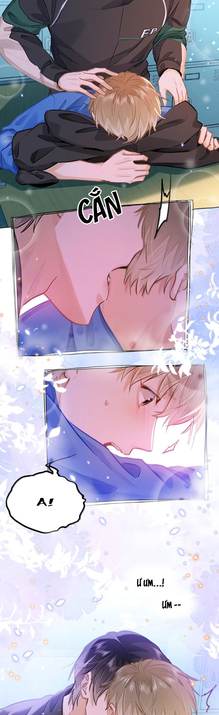 Tôi Thích Tin Tức Tố Của Cậu Chap 66 - Next Chap 66