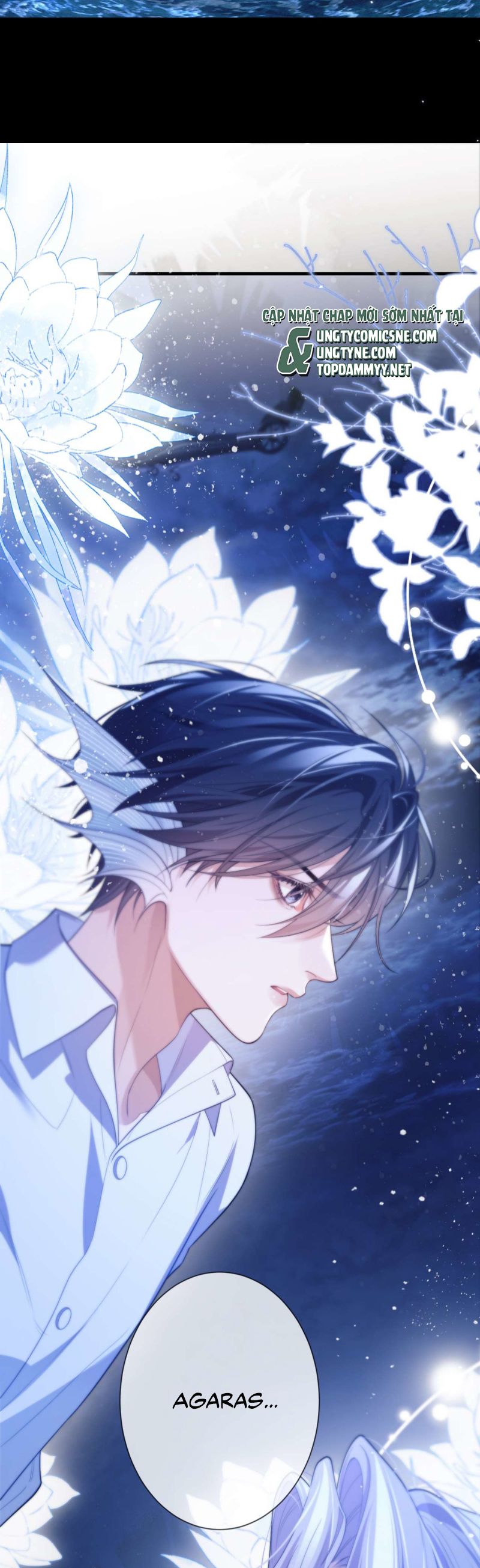 Desharow Nhân Ngư Chap 83 - Trang 4