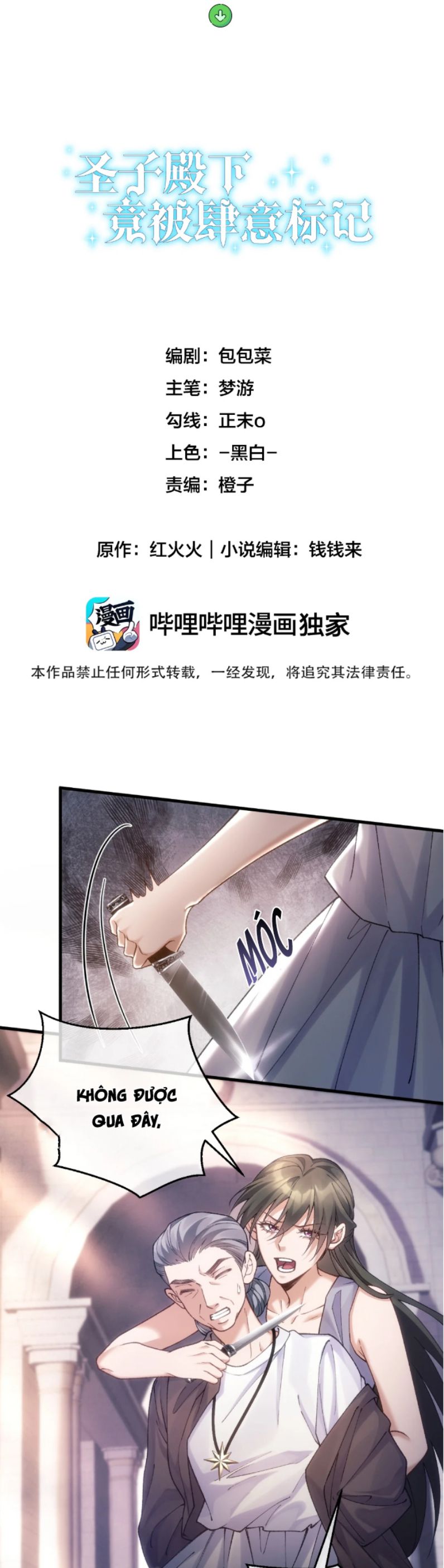 Thánh Tử Điện Hạ Lại Bị Tùy Ý Đánh Dấu Chap 9 - Trang 2