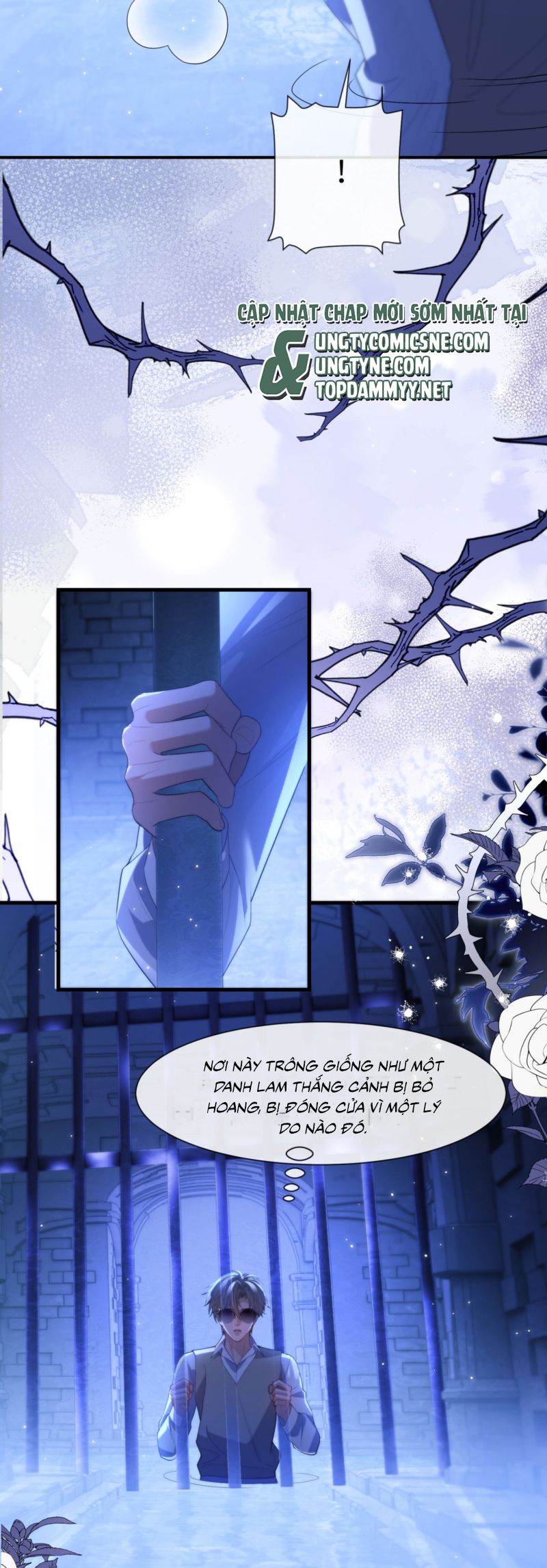 Desharow Nhân Ngư Chap 85 - Trang 4