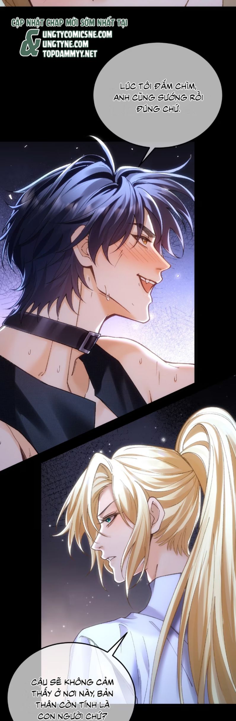 Thánh Tử Điện Hạ Lại Bị Tùy Ý Đánh Dấu Chap 11 - Trang 2