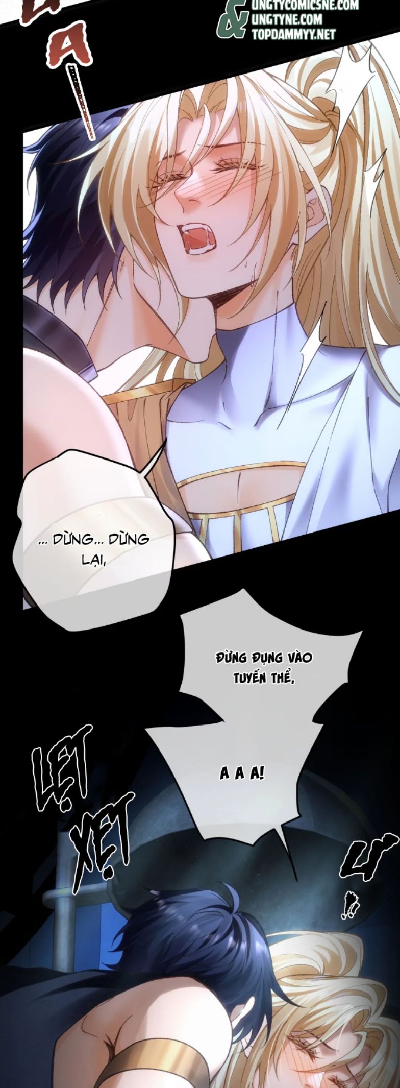 Thánh Tử Điện Hạ Lại Bị Tùy Ý Đánh Dấu Chap 11 - Trang 2
