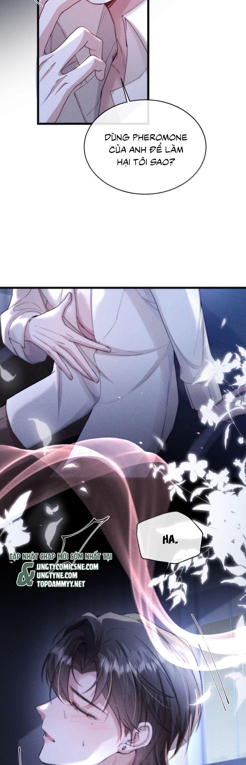 Kế Hoạch Tự Dưỡng Cuồng Khuyển Chap 61 - Trang 4