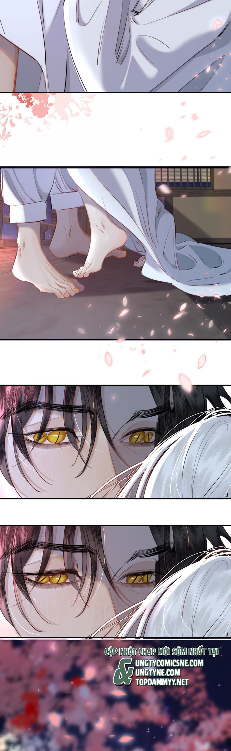 Trung Khuyển Không Thể Đẩy Ra Chap 85 - Trang 2