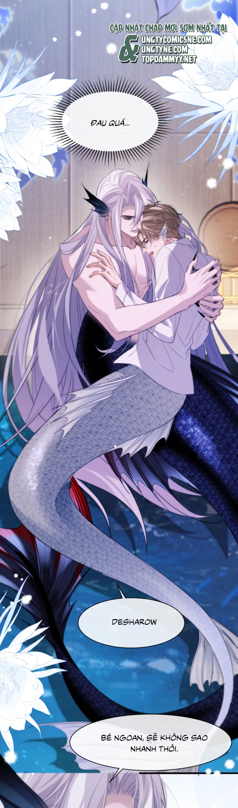 Desharow Nhân Ngư Chap 91 - Trang 4