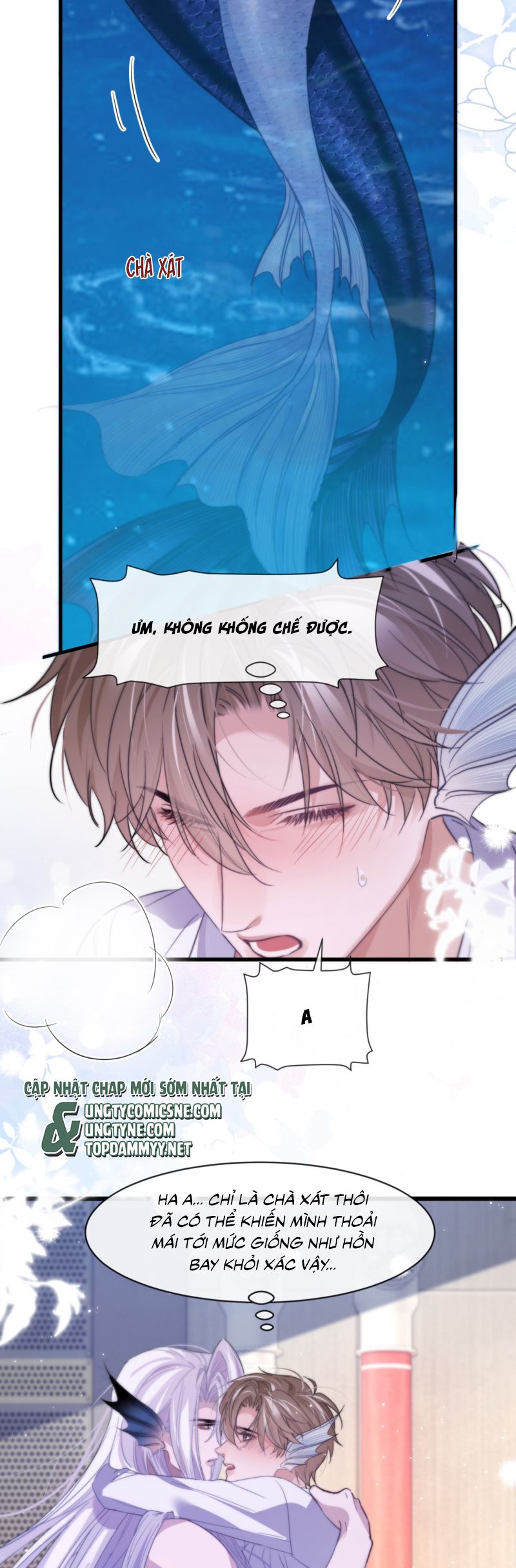 Desharow Nhân Ngư Chap 91 - Trang 4