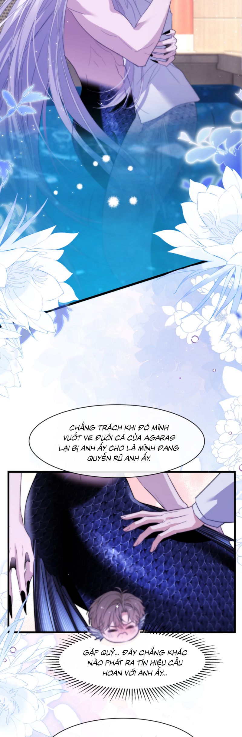 Desharow Nhân Ngư Chap 91 - Trang 4