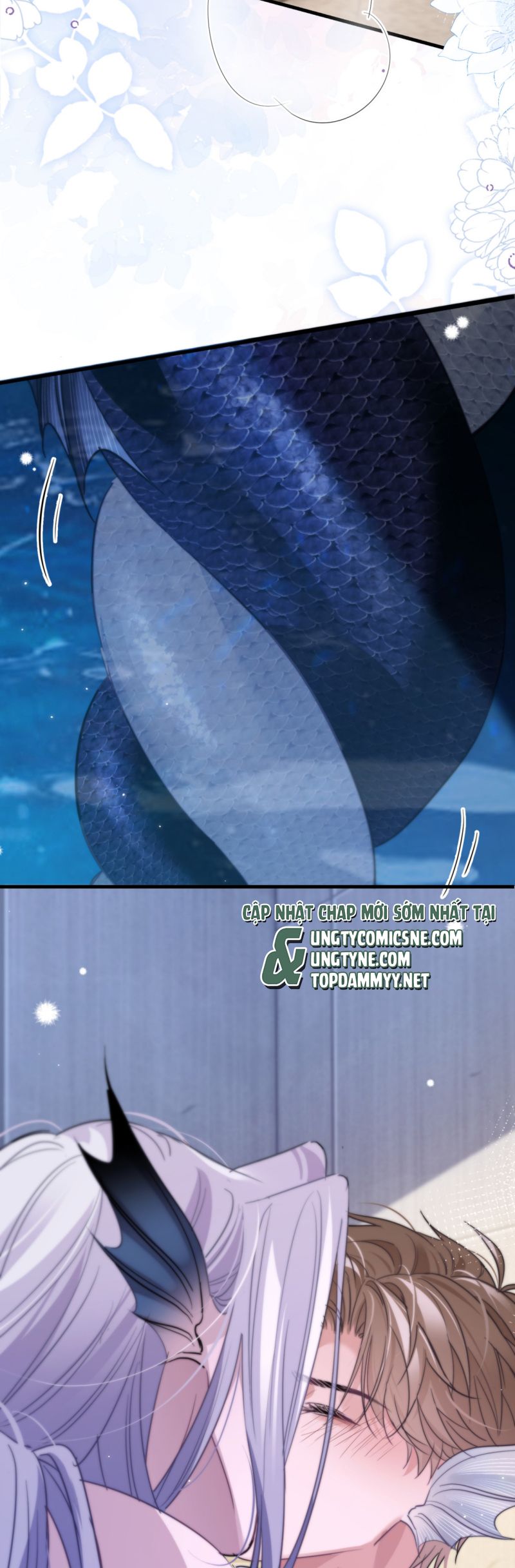 Desharow Nhân Ngư Chap 91 - Trang 4