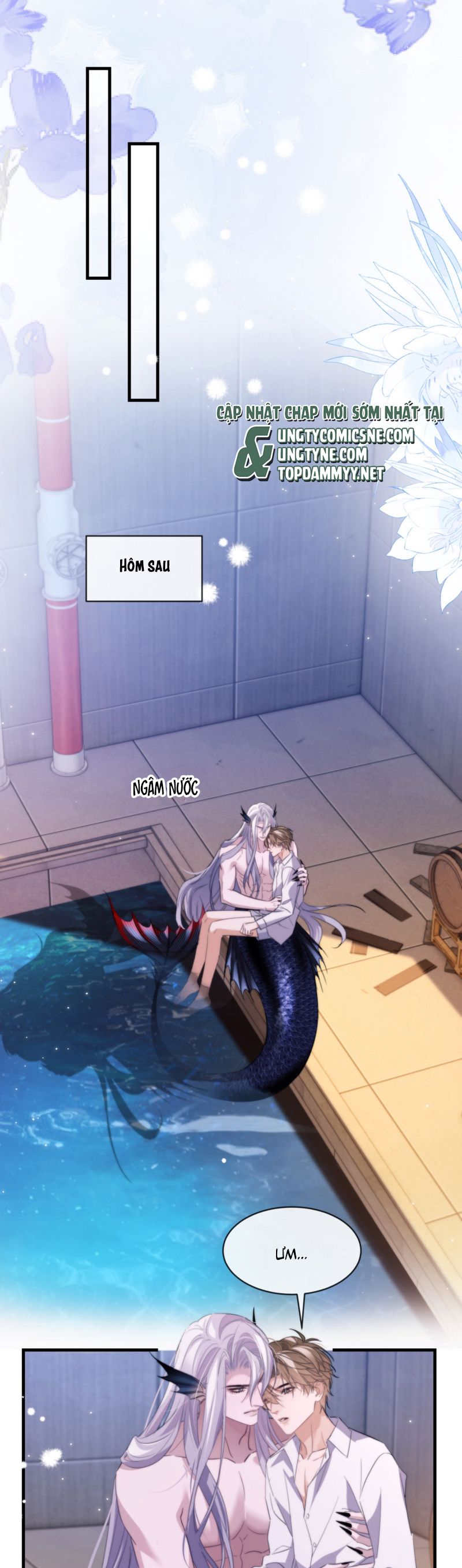 Desharow Nhân Ngư Chap 91 - Trang 4