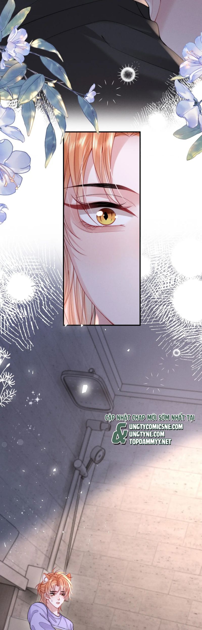 Tật Xấu Nuông Chiều Chap 39 - Next Chap 40