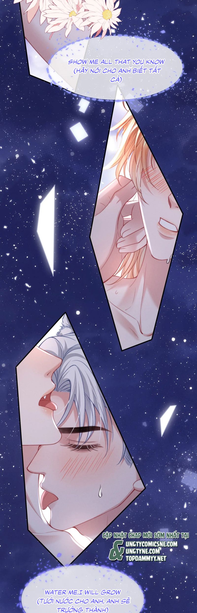 Tật Xấu Nuông Chiều Chap 39 - Next Chap 40